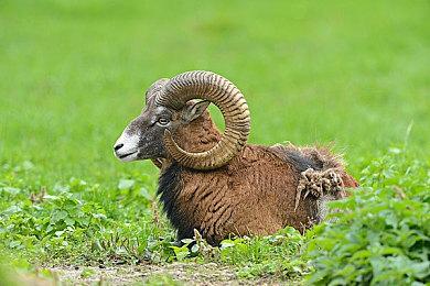 四人同乐《勇敢者游戏：荒野冒险》11月发售